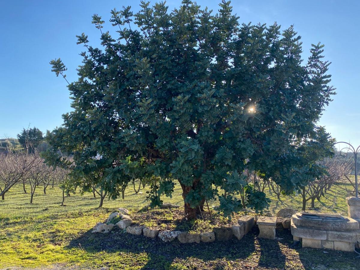 Trullo Della Selva Villa Alberobello Buitenkant foto